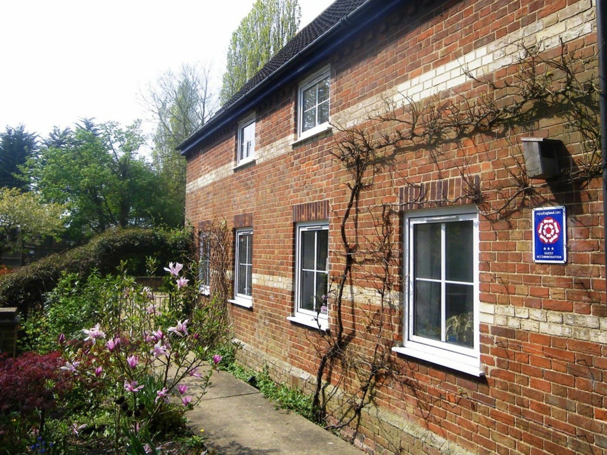 South Norfolk Guest House Great Moulton Buitenkant foto